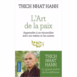 ISBN 9782266164382, Français, 320 pages