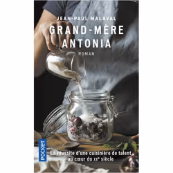 ISBN 9782266165266, Français, 480 pages