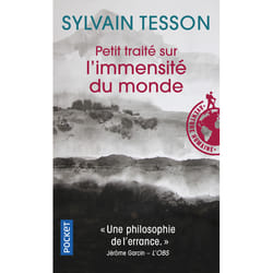 Presses pocket PETIT TRAITE SUR IMMENSITE MON