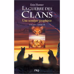 ISBN 9782266176989, Français, Livre broché, 372 pages