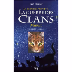 ISBN 9782266176996, Français, Livre broché, 360 pages