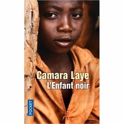 ISBN 9782266178945, Français, 224 pages
