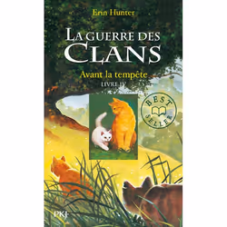 Pocket Jeunesse GUERRE CLANS T04 AVANT TEMPETE, Français, 346 pages