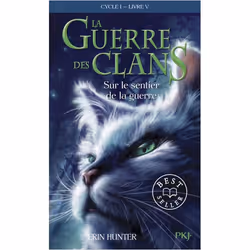 ISBN 9782266192927, Français, 368 pages