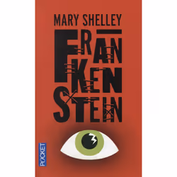Pocket FRANKENSTEIN, Français, 355 pages