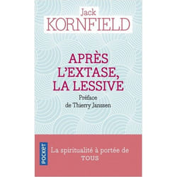 Après l'extase, la lessive (Broché)