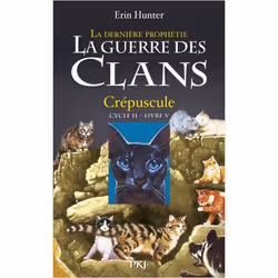 ISBN 9782266199643, Français, Livre broché, 360 pages