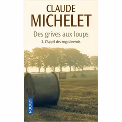 ISBN 9782266204569, Français, 384 pages