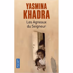 ISBN 9782266204910, Français, 224 pages