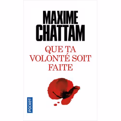 ISBN 9782266207089, Français, 384 pages