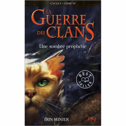 ISBN 9782266208178, Français, 368 pages