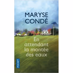 ISBN 9782266212724, Français, 320 pages