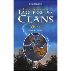 ISBN 9782266214032, Français, Livre broché, 408 pages