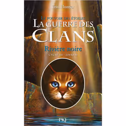 ISBN 9782266214049, Français, Livre broché, 360 pages