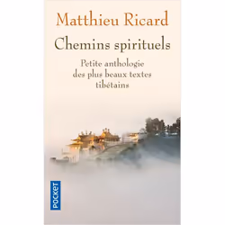 ISBN 9782266215558, Français, 384 pages