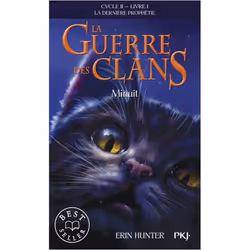 ISBN 9782266219204, Français, 360 pages