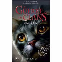 ISBN 9782266222839, Français, 336 pages