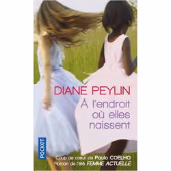 ISBN 9782266226059, Français, 416 pages