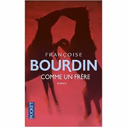 Pocket COMME UN FRERE, Français, Livre broché, 133 pages