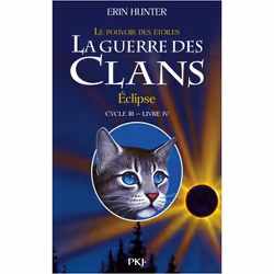 ISBN 9782266230452, Français, Livre broché, 360 pages