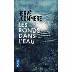 ISBN 9782266232951, Français, 320 pages
