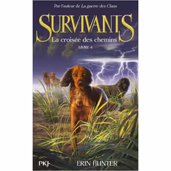 ISBN 9782266233378, Français, Livre broché, 288 pages