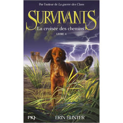 ISBN 9782266233378