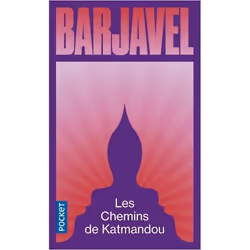 ISBN 9782266236041, Français, 384 pages