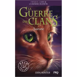 ISBN 9782266238113, Français, 384 pages
