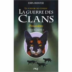 ISBN 9782266239660, Français, Livre broché, 360 pages