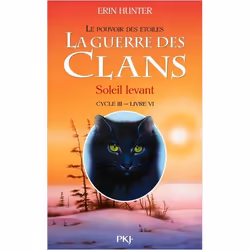 ISBN 9782266239684, Français, Livre broché, 360 pages