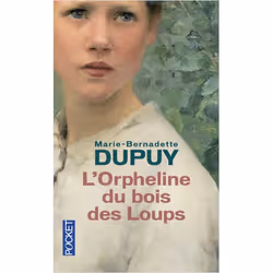 ISBN 9782266242745, Français, 480 pages