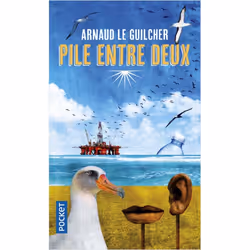 ISBN 9782266243568, Français, 352 pages