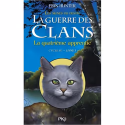 ISBN 9782266243841, Français, Livre broché, 352 pages