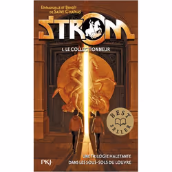 ISBN 9782266245296, Français, 336 pages