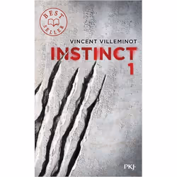 ISBN 9782266245302, Français, 480 pages