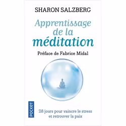 ISBN 9782266246521, Français, 256 pages