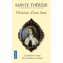 ISBN 9782266249720, Français, 384 pages