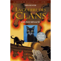 ISBN 9782266249812, Français, Livre broché, 96 pages