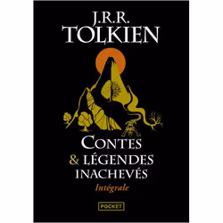ISBN 9782266250207, Français, Livre broché, 544 pages