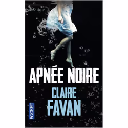 ISBN 9782266251693, Français, 384 pages