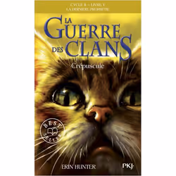 ISBN 9782266256643, Français, 368 pages