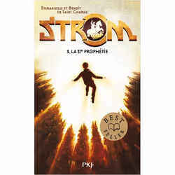 ISBN 9782266258111, Français, 336 pages