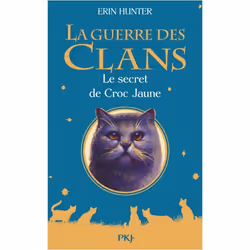 ISBN 9782266258173, Français, Livre broché, 504 pages