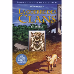 ISBN 9782266259842, Français, Livre broché, 96 pages
