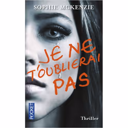 ISBN 9782266260190, Français, 480 pages