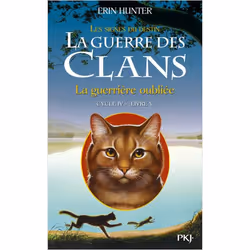 ISBN 9782266264594, Français, Livre broché, 336 pages