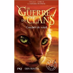 ISBN 9782266265089, Français, 352 pages