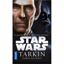 ISBN 9782266271325, Français, 384 pages