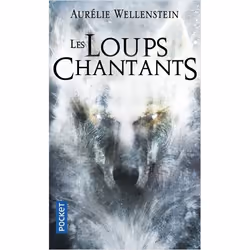 ISBN 9782266273138, Français, 288 pages